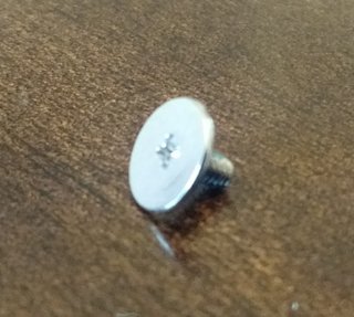 Write protect screw